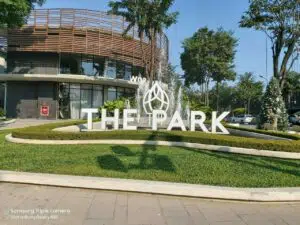 Read more about the article The Park